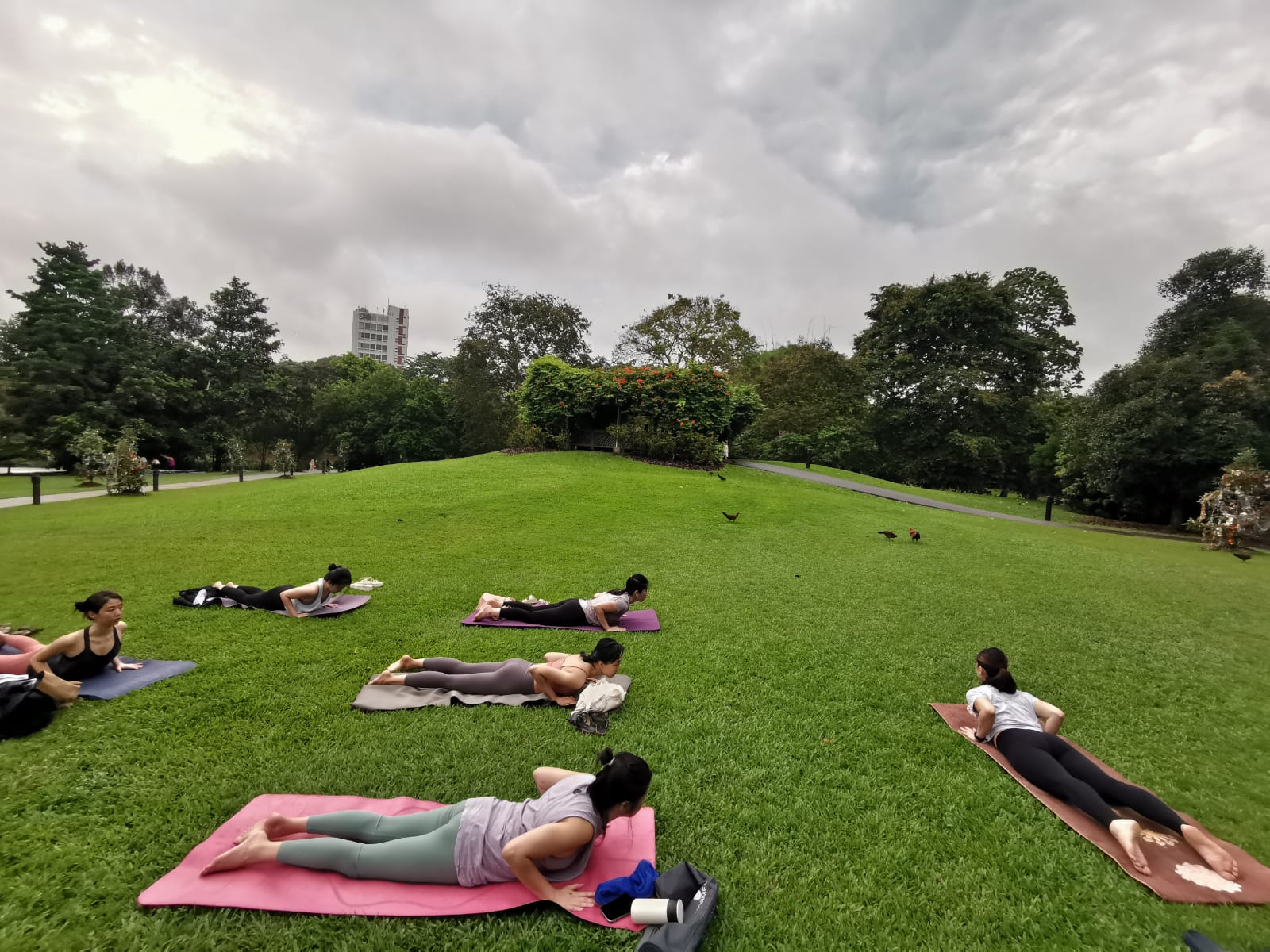 Bare feet grounding onto a natural cork yoga mat on grass
